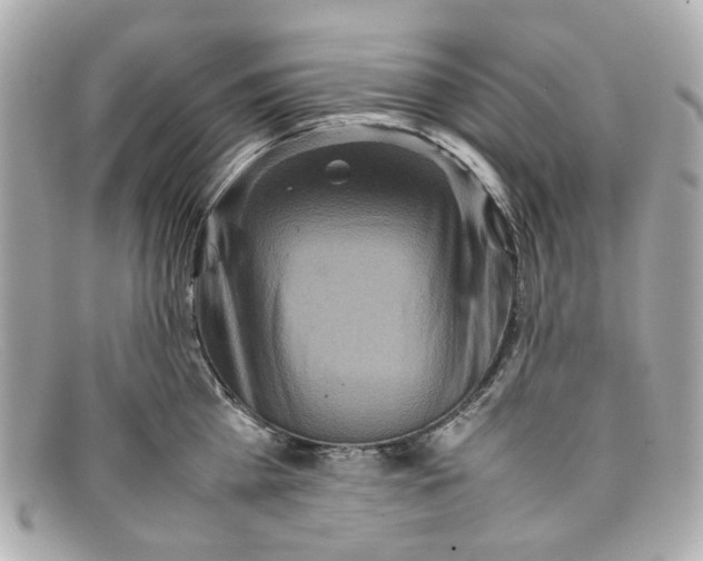 X0000097960809200804211101
