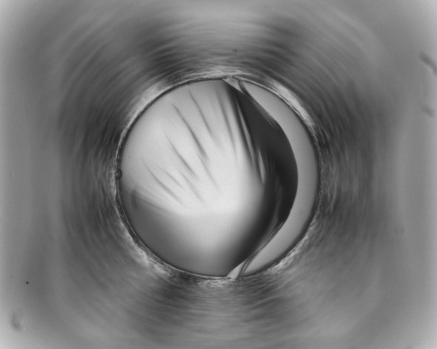 X0000097960810200804211101