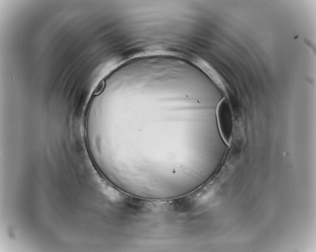 X0000097960813200804211101