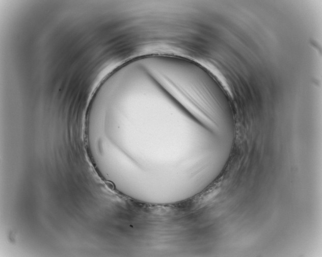 X0000097960815200804211101
