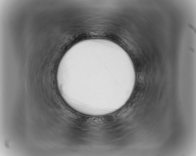 X0000097960817200804211100