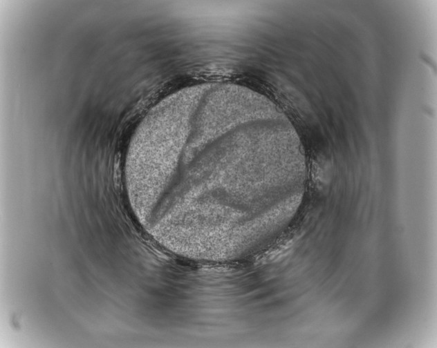 X0000097960818200804211100
