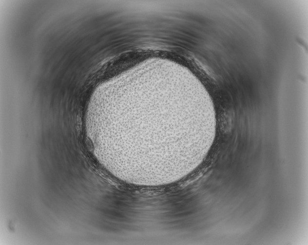 X0000097960821200804211100