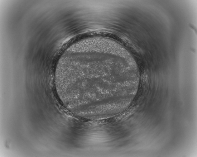 X0000097960822200804211100