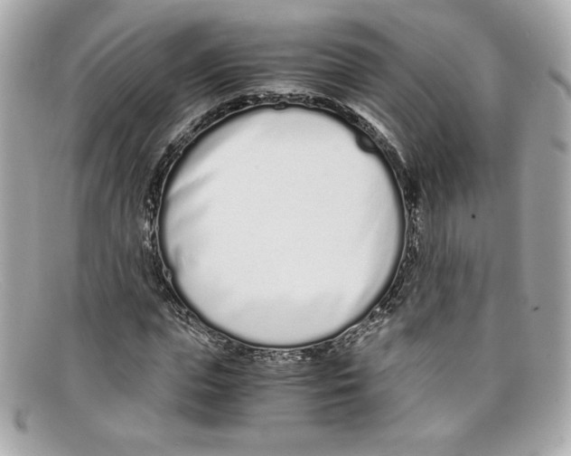 X0000097960823200804211100