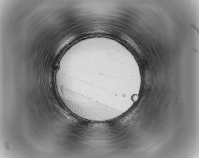 X0000097960826200804211100