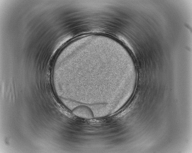 X0000097960827200804211100