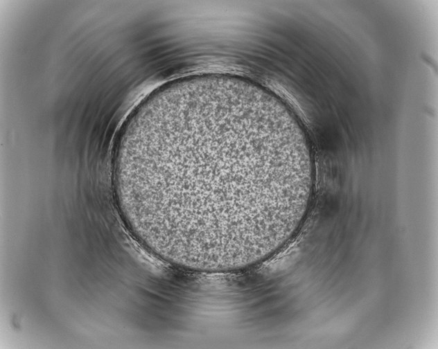 X0000097960828200804211100