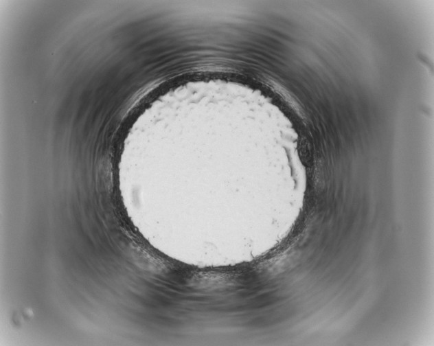 X0000097960829200804211100