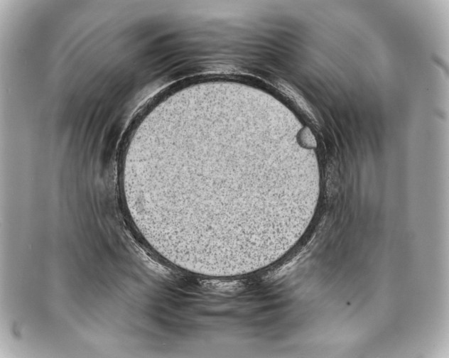 X0000097960831200804211100