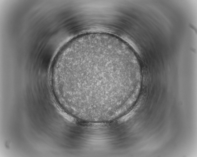 X0000097960832200804211100