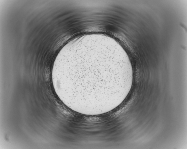 X0000097960833200804211100