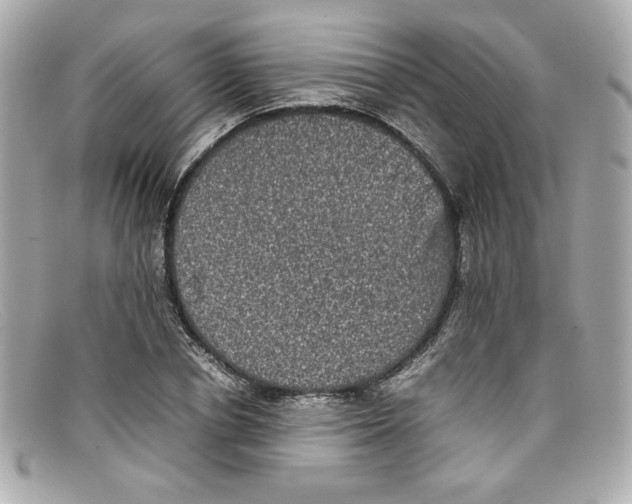 X0000097960834200804211100