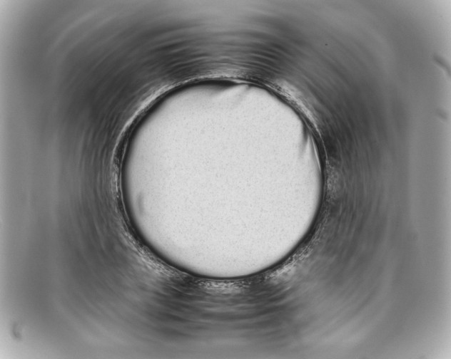 X0000097960835200804211100