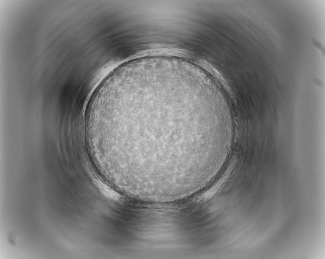 X0000097960836200804211100
