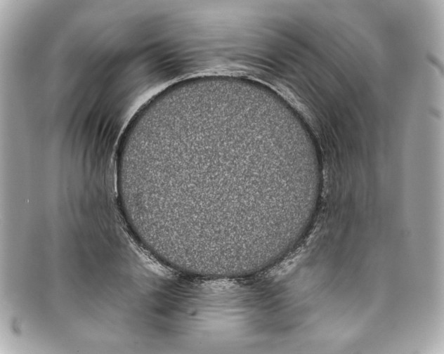 X0000097960838200804211100