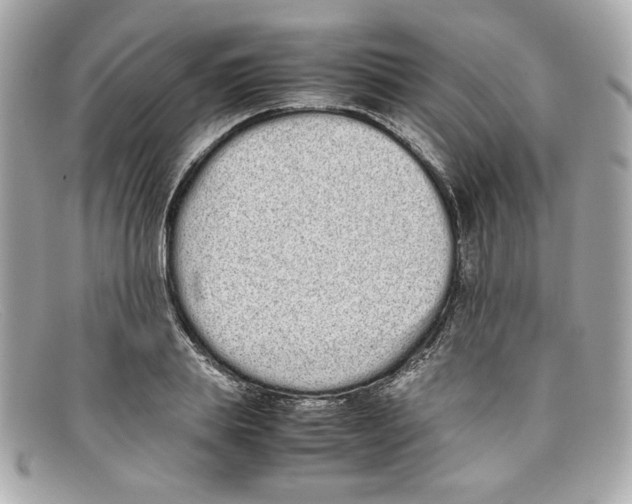 X0000097960839200804211100