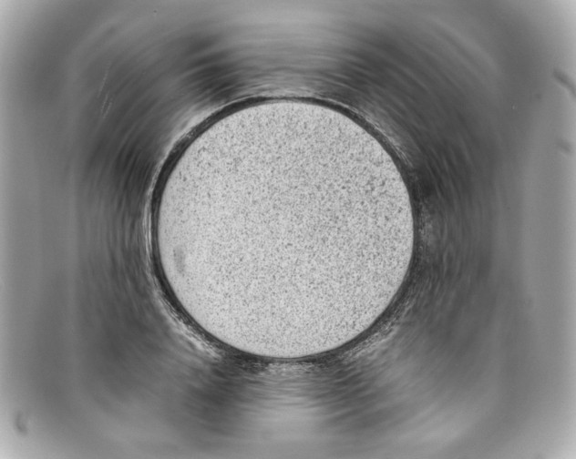 X0000097960840200804211100