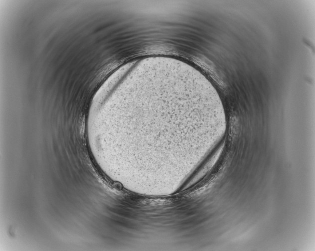 X0000097960841200804211100