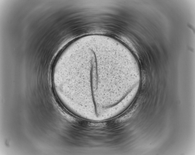 X0000097960843200804211100