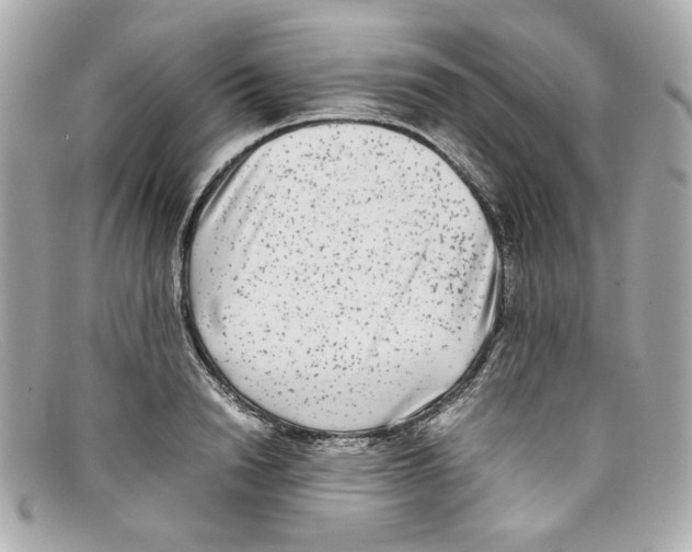 X0000097960846200804211100