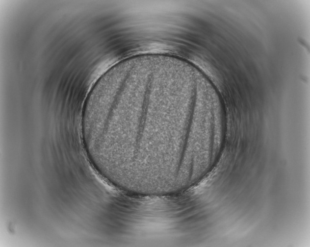 X0000097960850200804211100