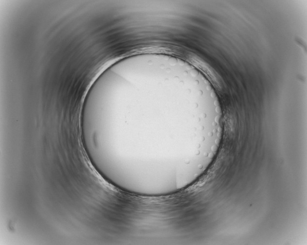 X0000097960852200804211101