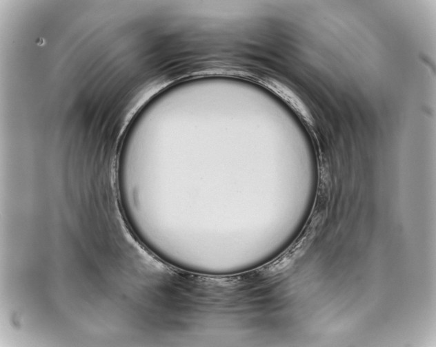 X0000097960855200804211101