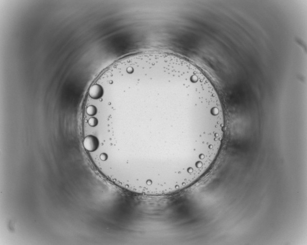 X0000097960856200804211101