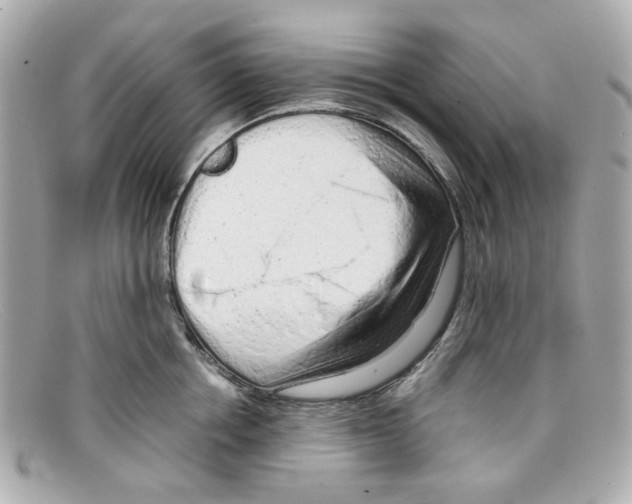 X0000097960858200804211101