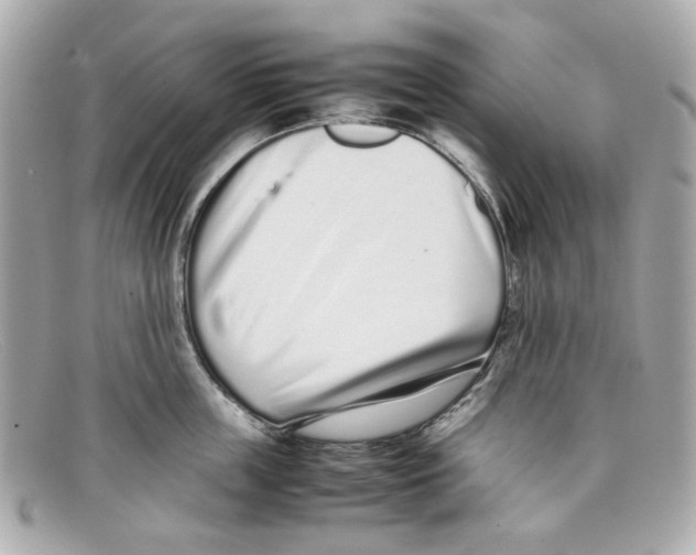 X0000097960859200804211101
