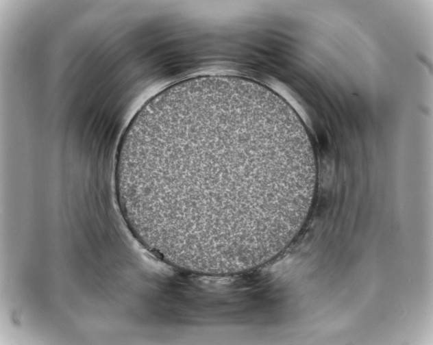 X0000097960861200804211101