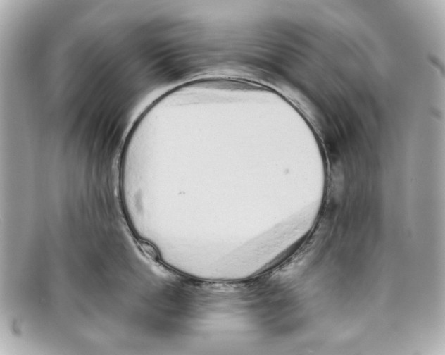 X0000097960862200804211101