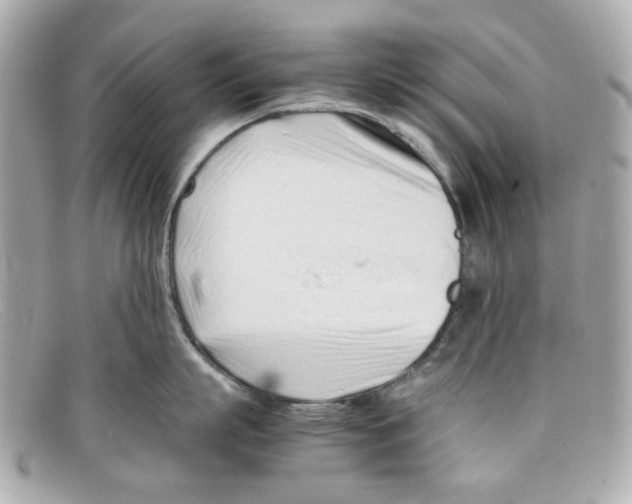 X0000097960863200804211101