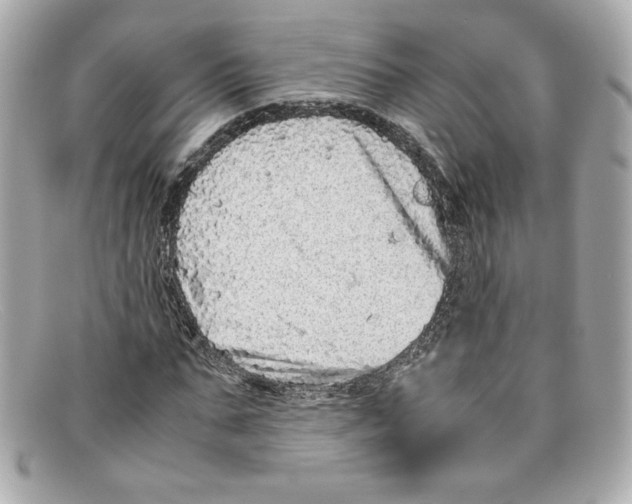 X0000097960871200804211100