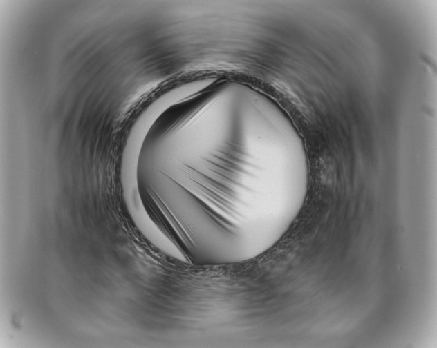 X0000097960872200804211100