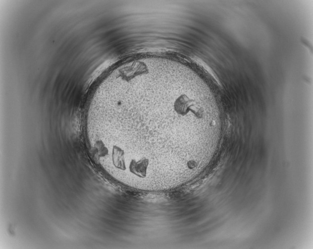 X0000097960874200804211100
