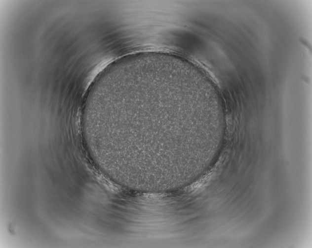X0000097960875200804211100