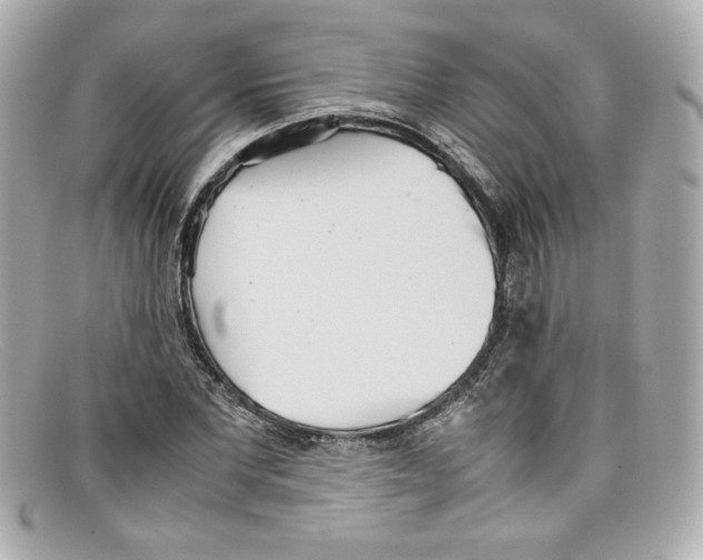 X0000097960877200804211100