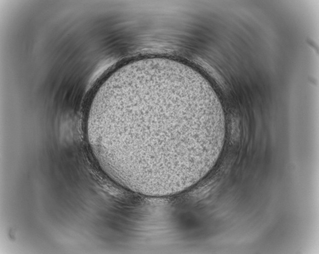 X0000097960878200804211100