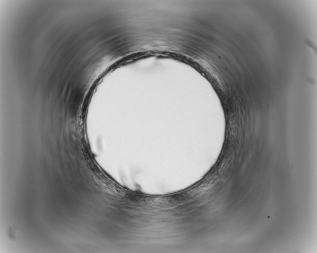 X0000097960879200804211100