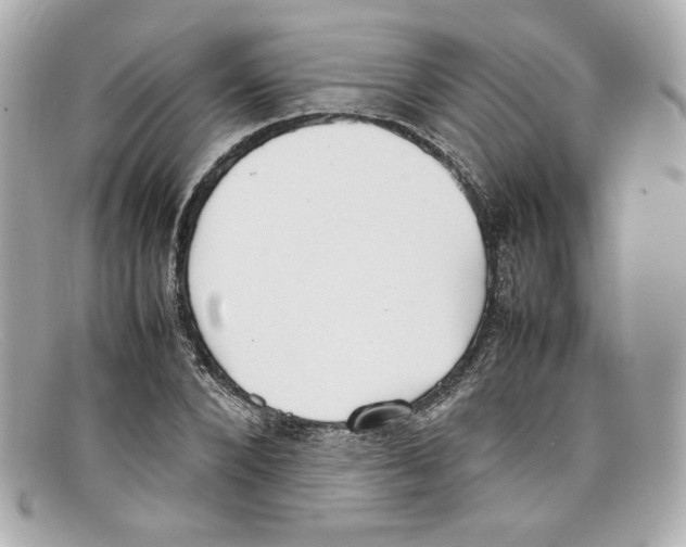 X0000097960880200804211100