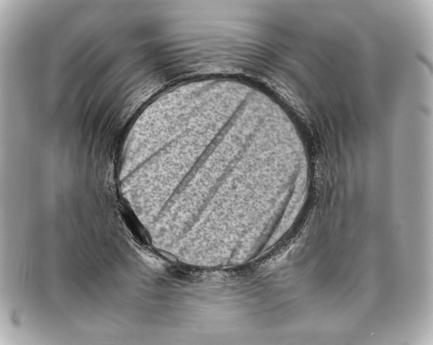 X0000097960881200804211100