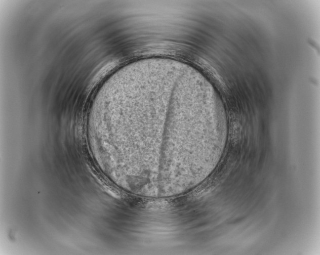 X0000097960882200804211100
