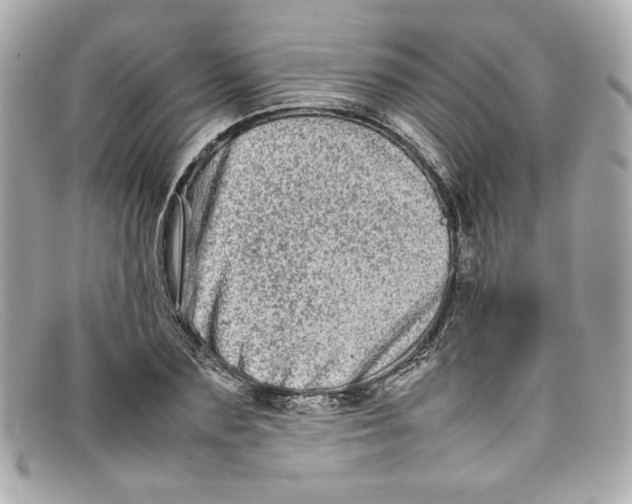 X0000097960883200804211100