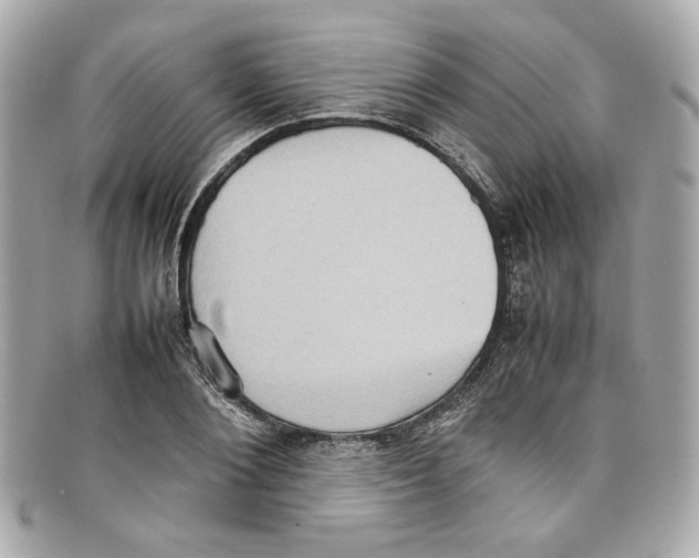 X0000097960884200804211100