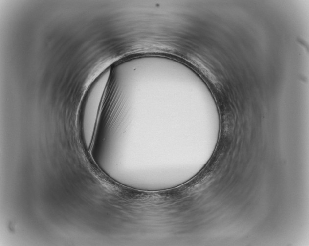 X0000097960885200804211100