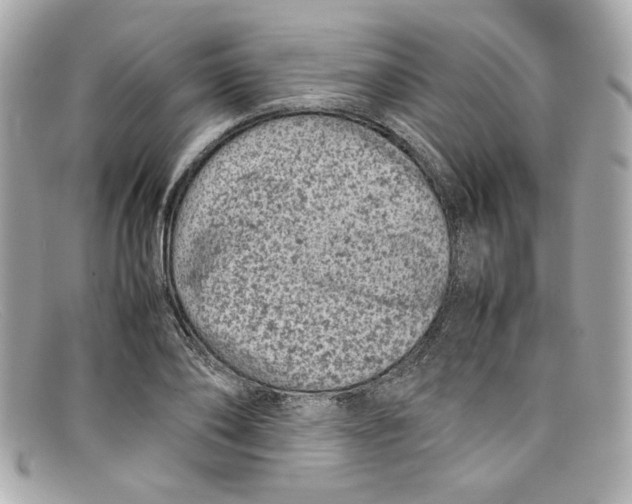 X0000097960886200804211100
