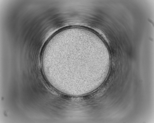 X0000097960887200804211100