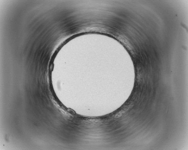 X0000097960888200804211100